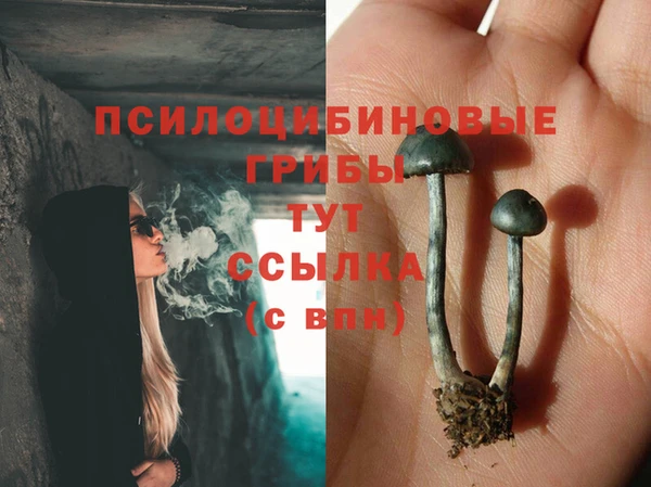 дурь Ростов