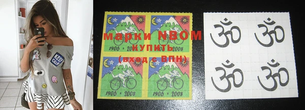 прущие грибы Болохово