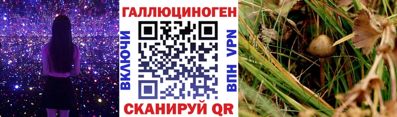 Псилоцибиновые грибы Cubensis  что такое наркотик  Когалым 